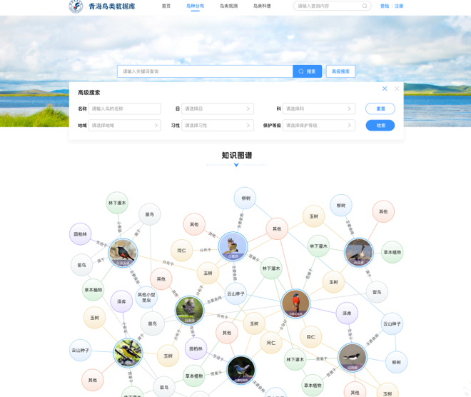 青海鳥類資源庫網站交互及UI設計
